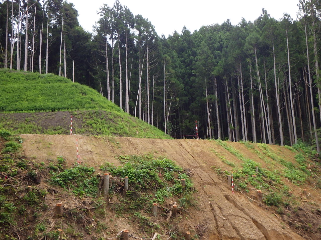 Ａ１橋台　着手前